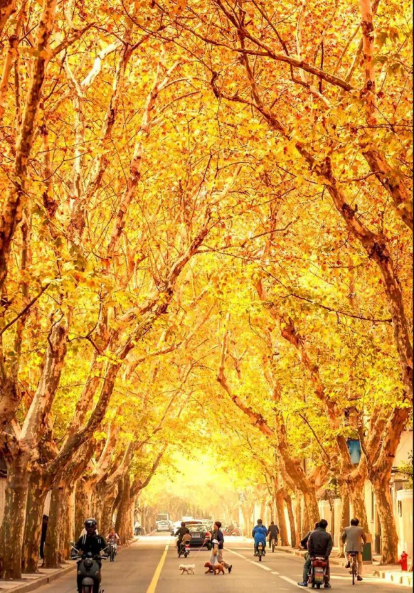 國內6條超驚豔的自駕路線，橫跨東西南北，一路風景賞心悅目