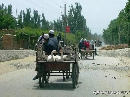 最接地氣的新疆是什麼樣子的? 最接地氣的新疆是什麼樣子的?