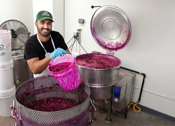 仙人掌果，美國西南部特產，巴以民族身份象徵