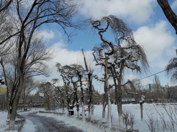 白雪雲至南公園