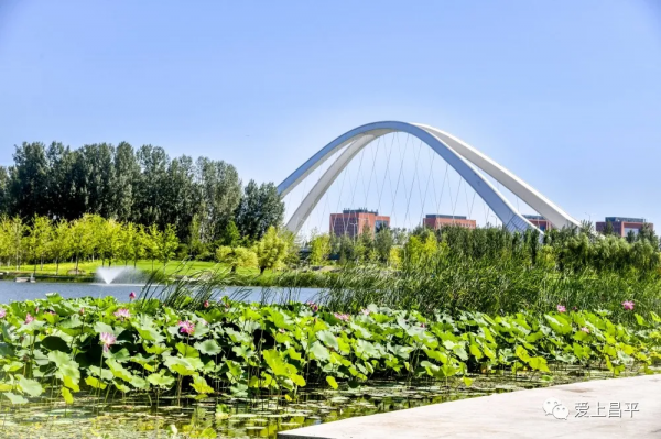 昌平這幾座姿態萬千的橋,每座都連著賞不夠的好風景 昌平這幾座姿態萬千的橋,每座都連著賞不夠的好風景