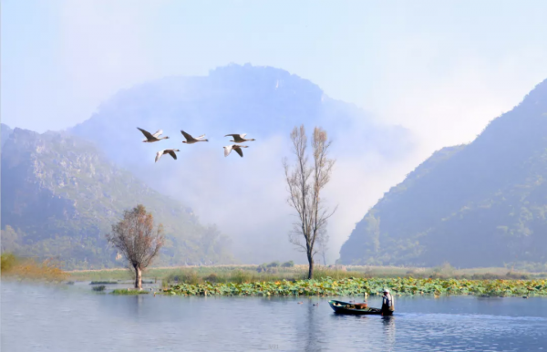 元旦、春節“雲南人遊雲南”,普者黑優惠福利 元旦、春節“雲南人遊雲南”,普者黑優惠福利