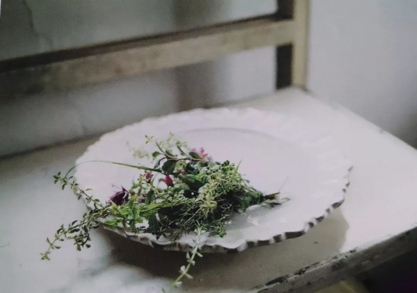 人到老年，心境決定命運和歸途