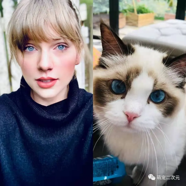 “貓女郎”泰勒斯威夫特