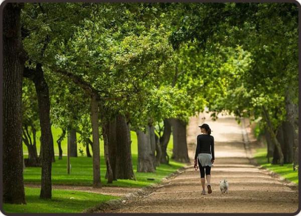 冬季養生做好六件小事，勝過胡亂進補
