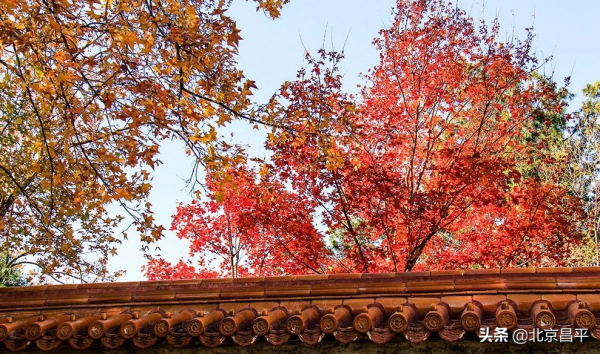 2021好幸運，和你在昌平走過春夏秋冬