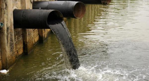 地球上的森林面積增加1倍後會發生什麼？人類將難以承受後果