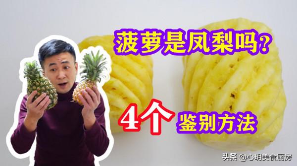 明明長得一個模樣，為啥一個叫鳳梨，一個叫菠蘿？原來差別在這兒