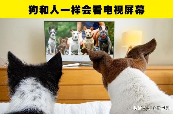 人體內也包含黃金?生活中的7個可能讓你想不到的科學知識 人體內也包含黃金?生活中的7個可能讓你想不到的科學知識