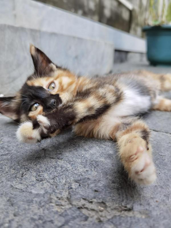 步入圓明園西區 皇帝的寢室