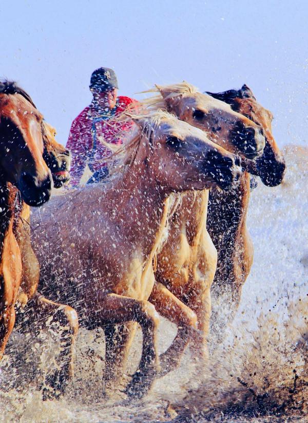 烏蘭布統的迷人秋色