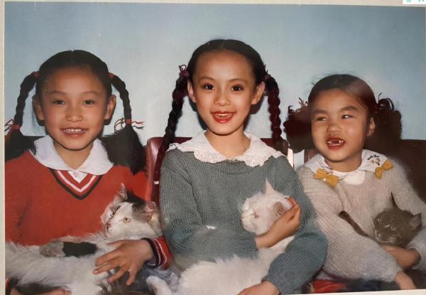 不拍戲就“銷聲匿跡”、不參加綜藝的孫儷，打了多少明星的臉？