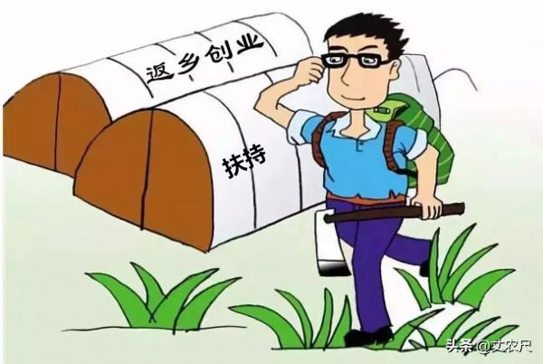 農村也將“先富帶後富”?返鄉創業正式進入推廣期,先下手先翻身 農村也將“先富帶後富”?返鄉創業正式進入推廣期,先下手先翻身