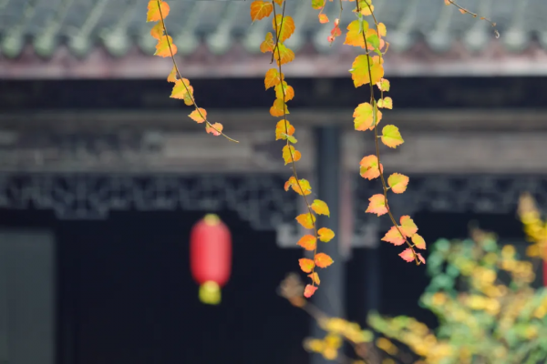 四大名著40句大俗話：話俗，理不俗！