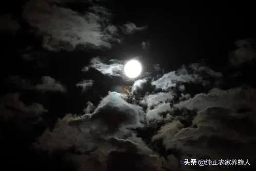 八月十五雲遮月,正月十五雪打燈有科學道理嗎? 八月十五雲遮月,正月十五雪打燈有科學道理嗎?