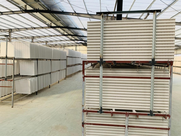 意想不到,好看到犯規 意想不到,好看到犯規