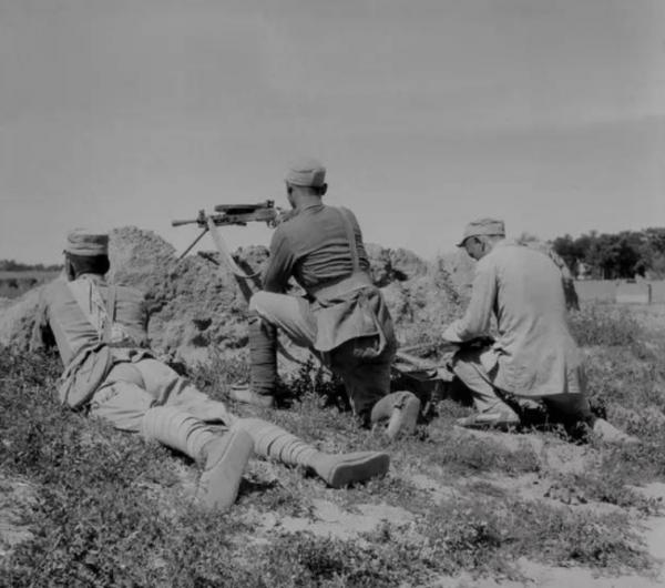 挺進大別山的過程中，劉鄧大軍為何會損失過半？