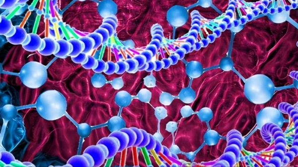 擔心肝有問題,去醫院該做什麼檢查?檢查前要注意什麼?一文說清 擔心肝有問題,去醫院該做什麼檢查?檢查前要注意什麼?一文說清