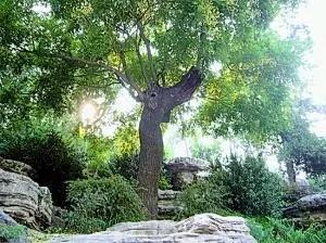 大明王朝滅亡 大明王朝滅亡