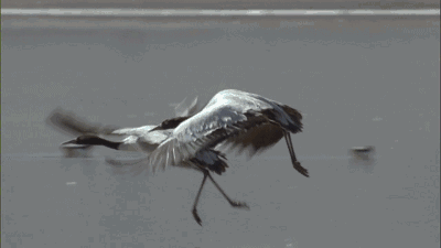 探訪冰川、峽谷徒步，睡在松贊新店，開啟一場自然大冒險