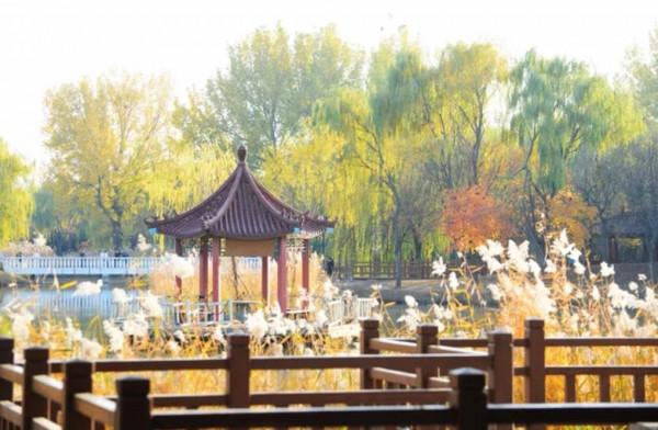 心理學:情商低的人,拎不清這3樣“東西” 心理學:情商低的人,拎不清這3樣“東西”