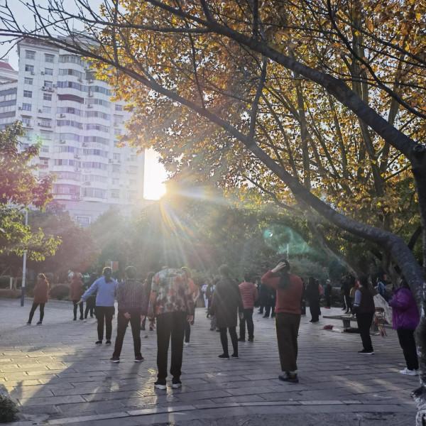 歡樂的紫舞公園