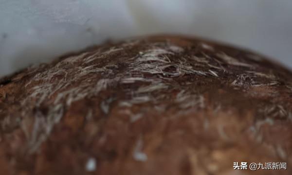 龐貝古城發現史上儲存最完好的人類遺骸 白頭髮和耳朵清晰可見 龐貝古城發現史上儲存最完好的人類遺骸 白頭髮和耳朵清晰可見