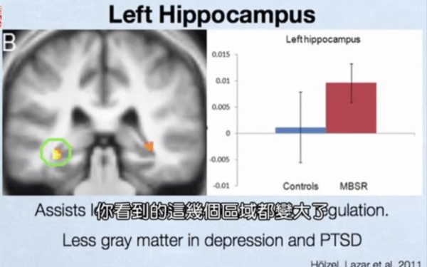 真的能讓孩子變“聰明”的三個訓練方法,有科學依據 真的能讓孩子變“聰明”的三個訓練方法,有科學依據