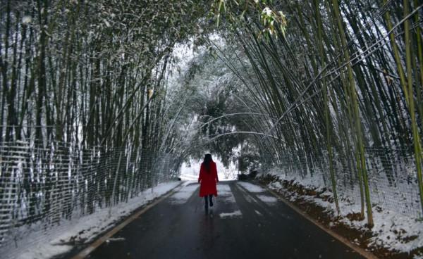 河南必去的小眾景點，寒假親子游勝地，4A級景色目前門票半價