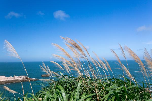 青浜島，浮華塵世外的“海上布達拉宮”，去當幾日快樂島民
