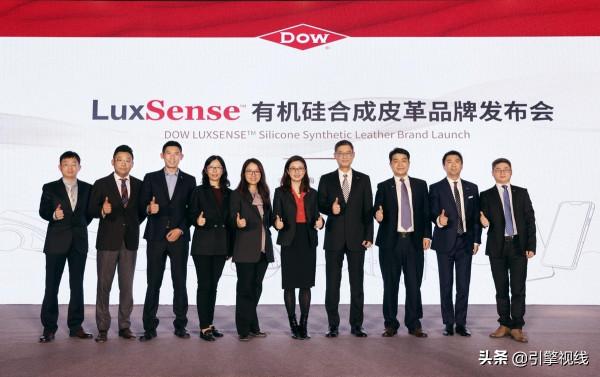 有機矽合成皮革,能否成為節能時代下車企的另類解決路徑 有機矽合成皮革,能否成為節能時代下車企的另類解決路徑