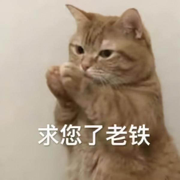 零失敗電飯煲蛋糕教程 零失敗電飯煲蛋糕教程