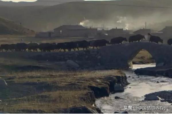 美國女孩嫁到中國甘肅後，創辦犛牛絨圍巾工廠，改變當地人文經濟