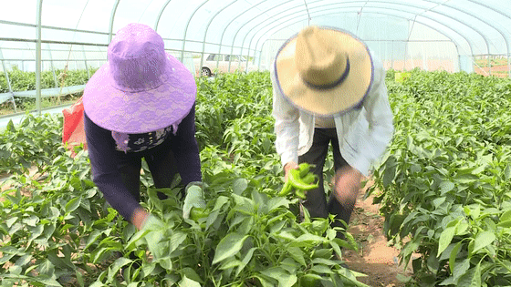 開啟手電筒後，再馬上關閉，這條光線會直接消失還是繼續傳播呢？