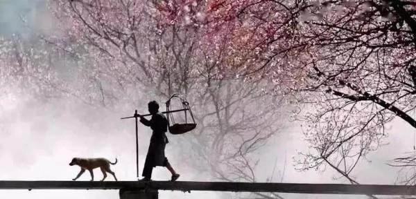 《偶夢》2021.10.29