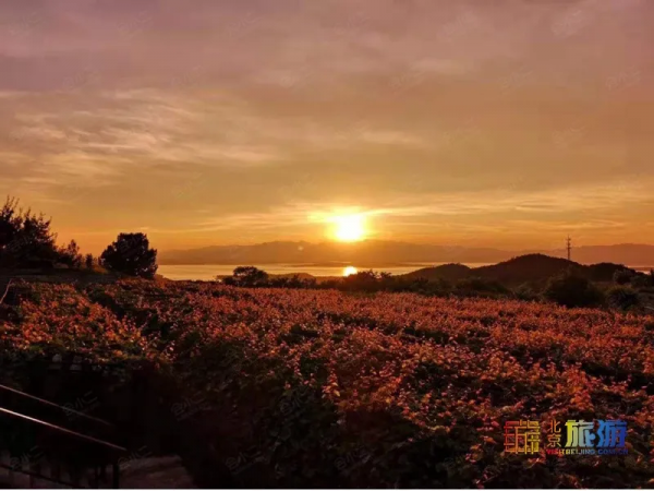 北京小眾拍照打卡地，童話城堡超出片！近郊遊必選~