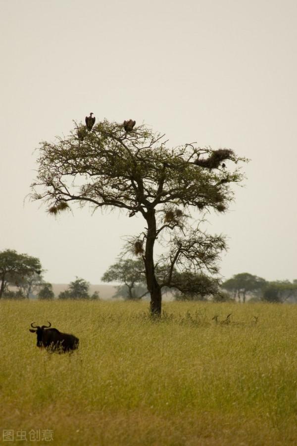 能幹成事的人，無非是摸透了人性