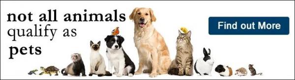 【動植物檢疫】寵物入境美國指南