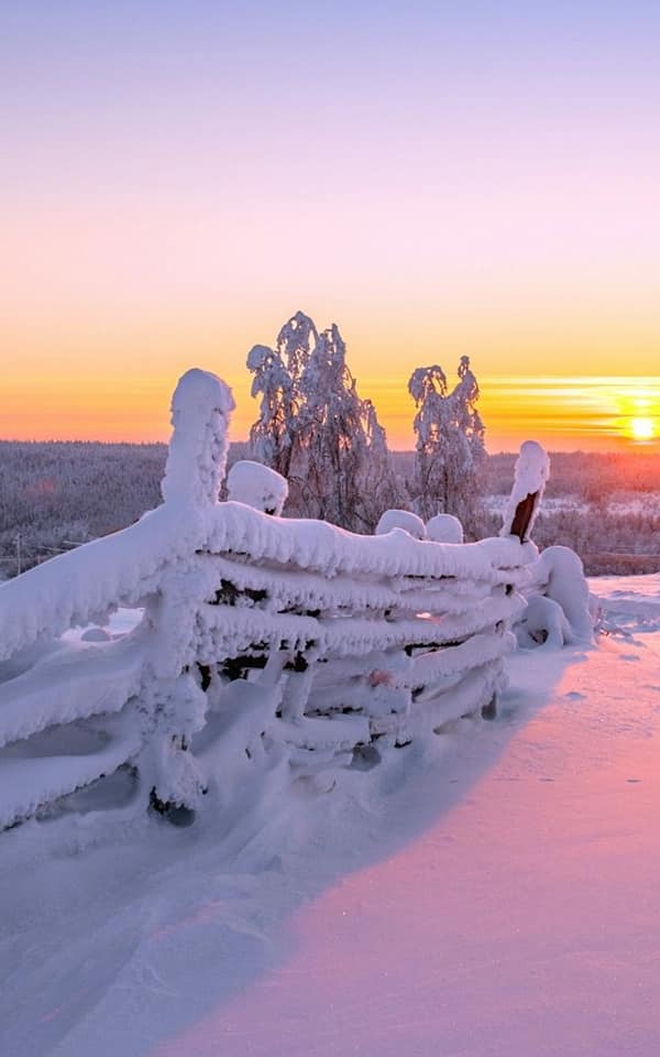 分享白雪皚皚的雪景，銀裝素裹，美景如畫