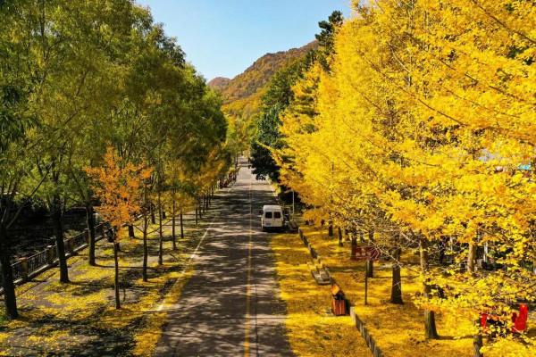 秋遊不可錯過白雲山，它免費來了