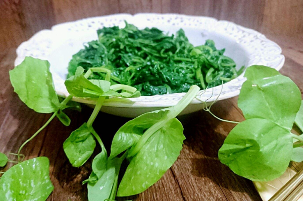 張靜初、陶虹等人倡導素食，卻被扒吃肉穿皮草，網友：言行不一