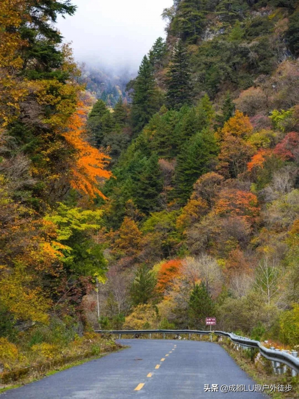 黑水秘境,感受奶子溝八十里彩林畫廊 黑水秘境,感受奶子溝八十里彩林畫廊