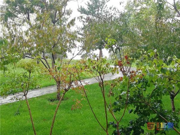 美哭了！不用去雲貴高原，在北京就能欣賞到的超美梯田，還免門票~