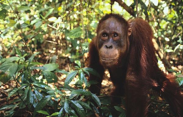 盤點45個冷知識：生活中經常出現但容易被忽視，看看你知道幾個？
