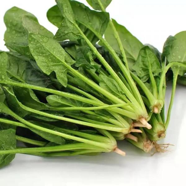 冬季口乾舌燥易上火？這“五菜三果”不能少，水分充足營養高