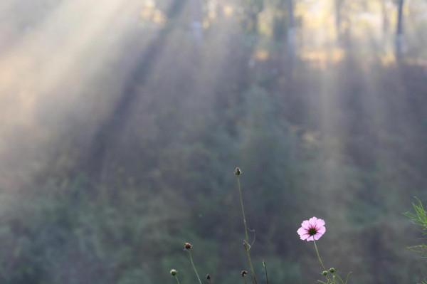 深秋美景繽紛如畫 深秋美景繽紛如畫