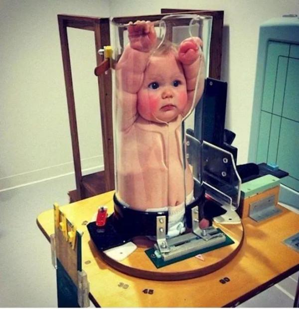 33張活久未見的照片,200 公斤重的藍鯨心臟,螞蟻腿上安裝高蹺 33張活久未見的照片,200 公斤重的藍鯨心臟,螞蟻腿上安裝高蹺