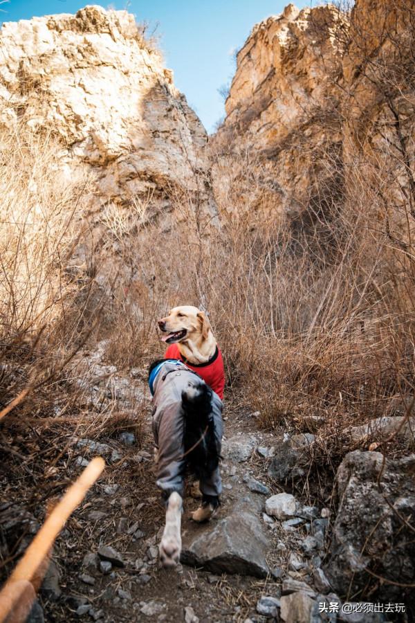 京西小三峽丨不出京感受低配版雅魯藏布江大拐彎丨附詳細攻略