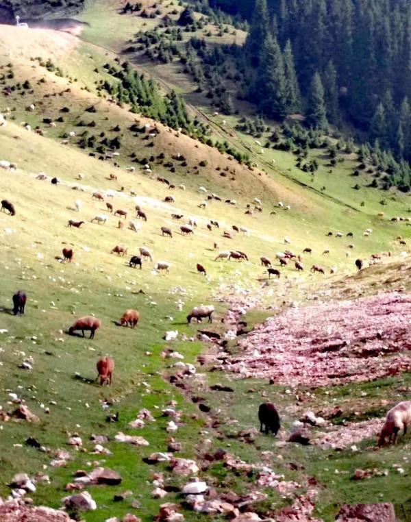 大美新疆自駕遊——到夏爾希裡感受風景如畫 大美新疆自駕遊——到夏爾希裡感受風景如畫