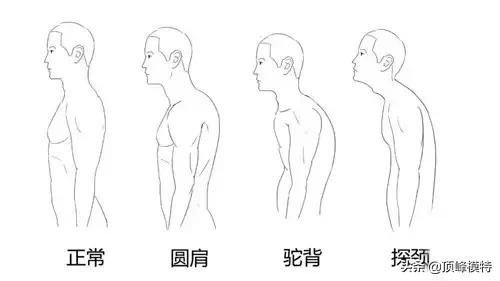 頂峰藝考｜形體禮儀應該注意的哪些問題？